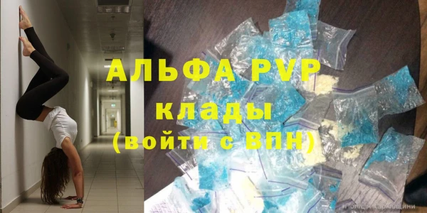 гидра Балахна