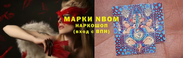 стафф Баксан