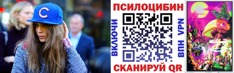 Купить  Бикин  Псилоцибиновые грибы GOLDEN TEACHER 
